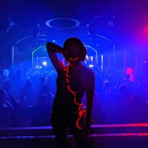 Meet your Posher, Molly